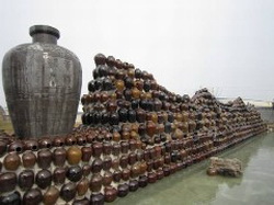 酒壇長龍